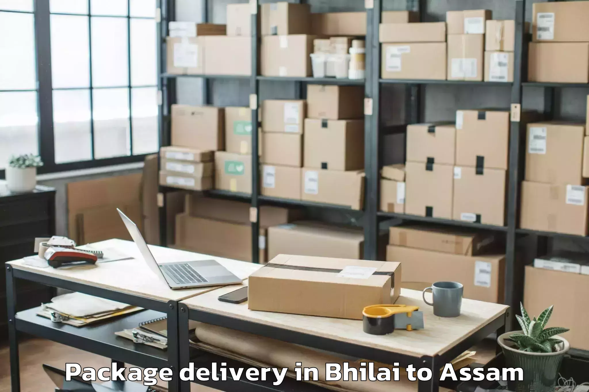 Trusted Bhilai to Khoirabari Pt Package Delivery